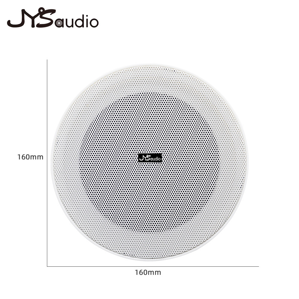 Smart Home Speaker - Çerçevesiz Tavan Hoparlörü 10W 8Ohm Akıllı