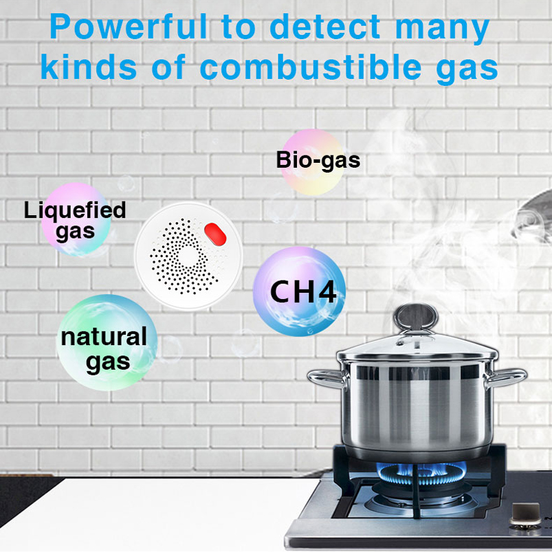 AB/ABD/İngiltere Tuya Akıllı E - Smart Home Networking incelemesi ve fiyatı