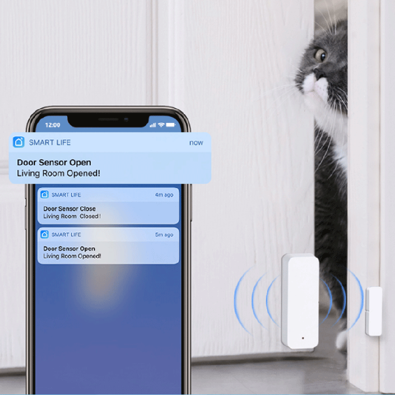 Tuya WiFi Zigbee Kapı Pencere  - Smart Home Networking incelemesi ve fiyatı